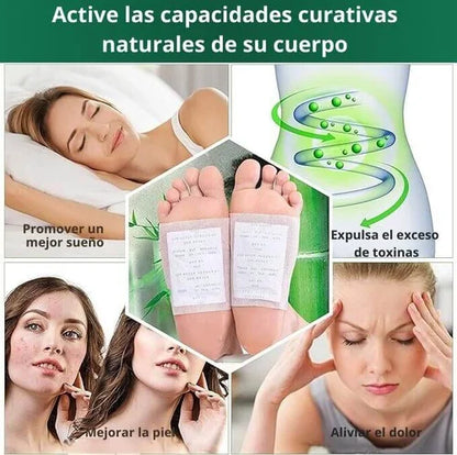 PACK 3 CAJAS - PARCHE DESINTOXICANTE 🌿🍵🍃💆